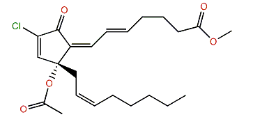 12-O-Acetylchlorovulone III